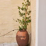Oak Farm Traditional * Fallika
