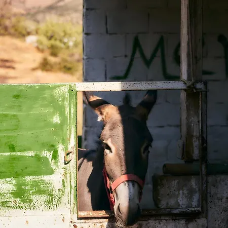 Casa de Férias Oak Farm Traditional