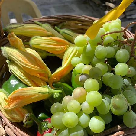 Σπίτι διακοπών Oak Farm Traditional Fallika