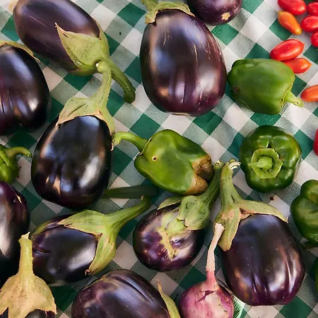 Σπίτι διακοπών Oak Farm Traditional Fallika