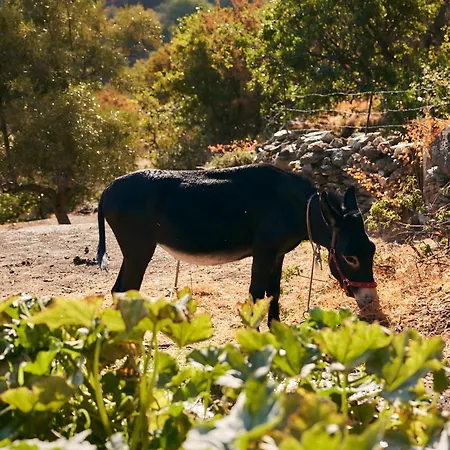 Σπίτι διακοπών Oak Farm Traditional