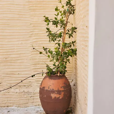 Σπίτι διακοπών Oak Farm Traditional Fallika