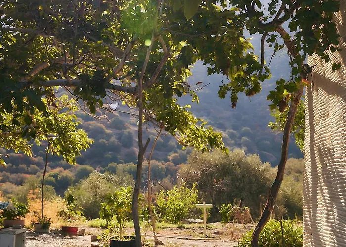 Oak Farm Traditional Dom wakacyjny *